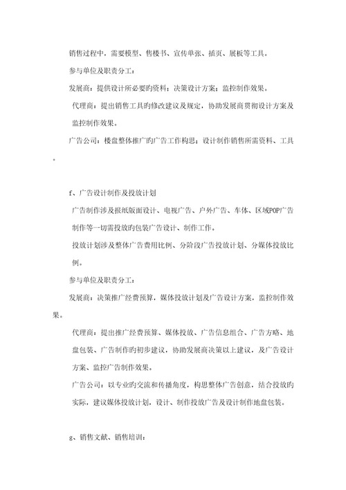 公司专项项目总体营销策略报告