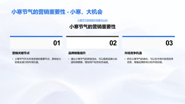 小寒营销策略报告PPT模板