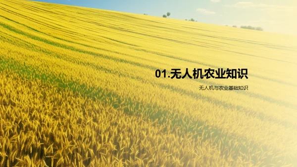 无人机农业革新