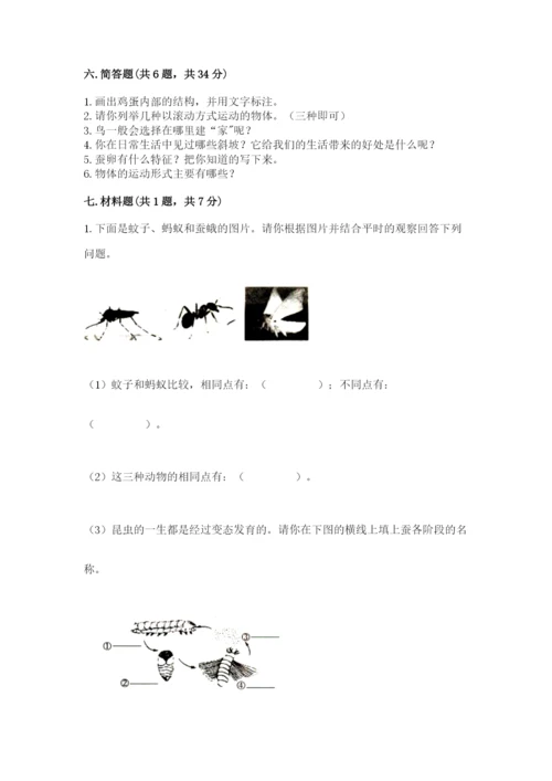 教科版三年级下册科学期末测试卷（考点精练）.docx