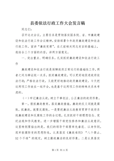 县委依法行政工作大会发言稿.docx