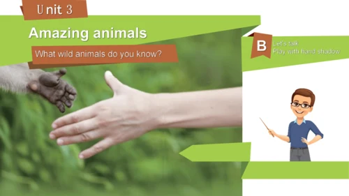 Unit 3 Amazing animals Part B Let's talk（优课）课件（21张