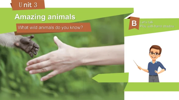 Unit 3 Amazing animals Part B Let's talk（优课）课件（21张