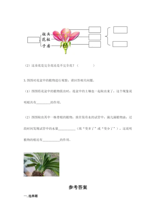 科学四年级下册第一单元《植物的生长变化》测试卷含完整答案【名师系列】.docx