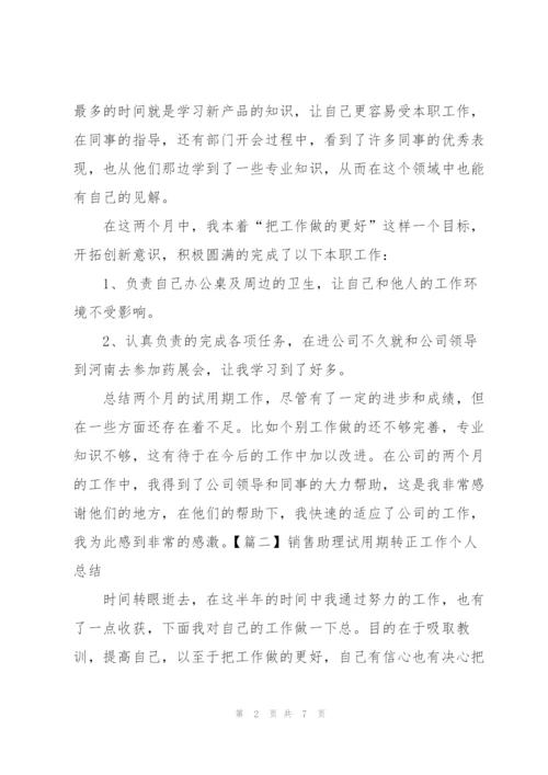 销售助理试用期转正工作个人总结.docx