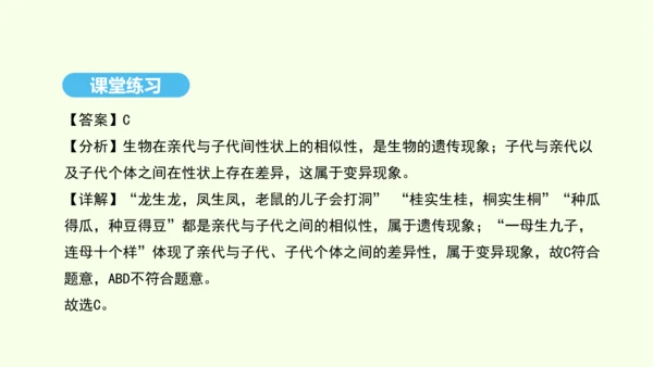 7.2.5生物的变异课件-人教版生物八年级下册(共28张PPT)