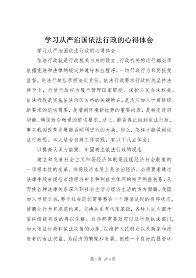 学习从严治国依法行政的心得体会.docx