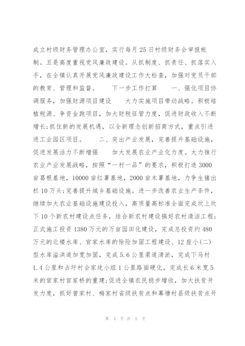镇政府第三季度工作总结与计划.docx