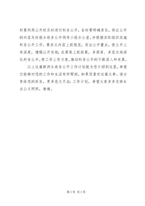 新洲乡政务公开工作计划.docx