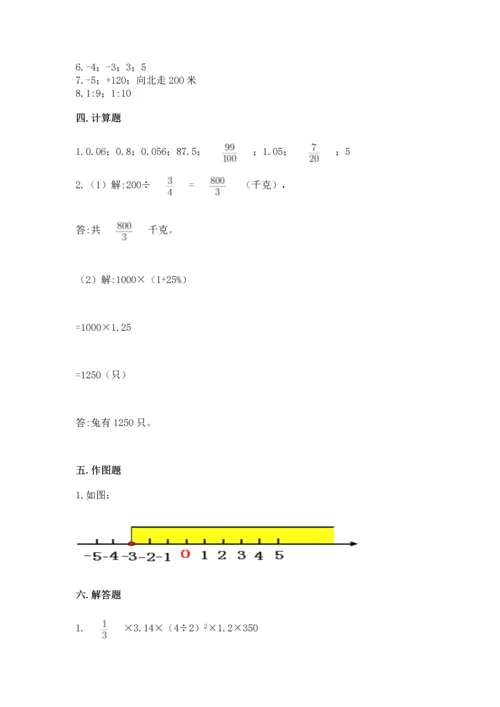 北师大版六年级下册数学期末测试卷审定版.docx