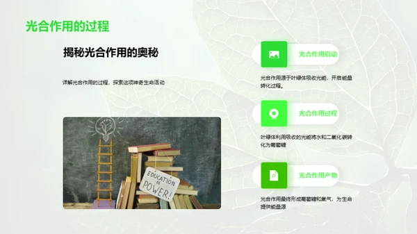 探秘植物的生命之旅