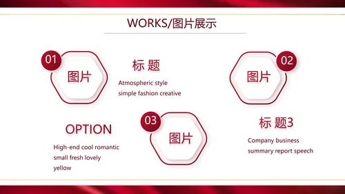 高端公司品牌产品介绍策划方案工作总结PPT