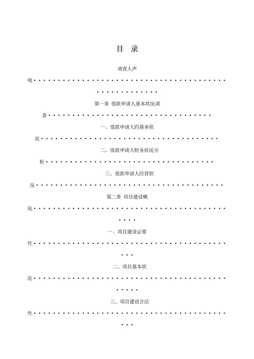 公司具体申请万元专项项目贷款的调查汇总报告.docx