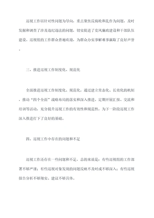 巡视工作总结会发言提纲