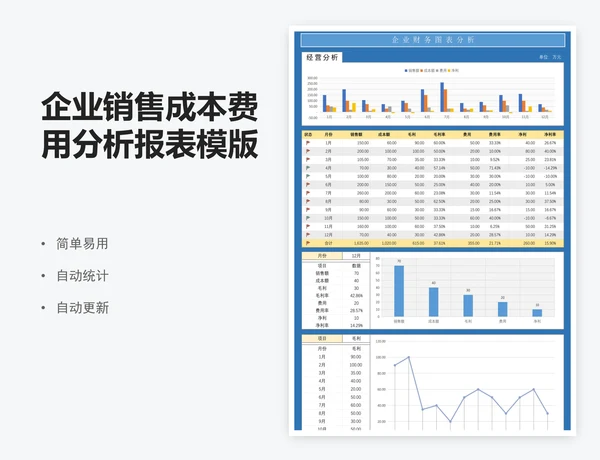 企业销售成本费用分析报表模版