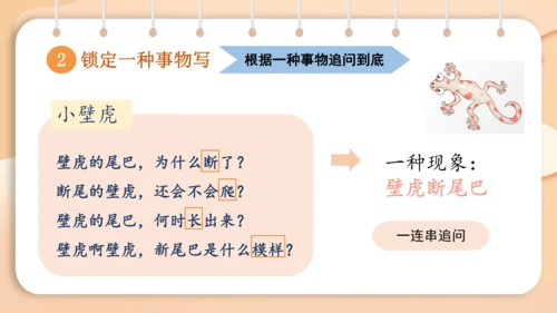 统编版语文二年级下册 课文5  写话 心中的问号  课件