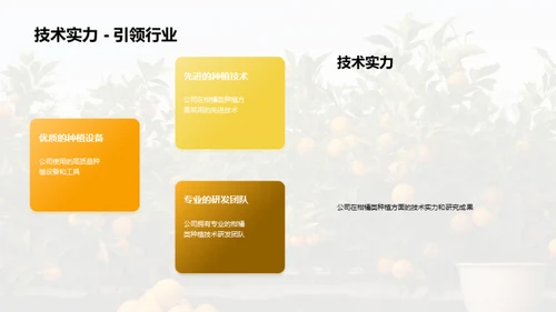 柑橘产业：未来之路