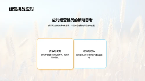 农业经营分析与策略