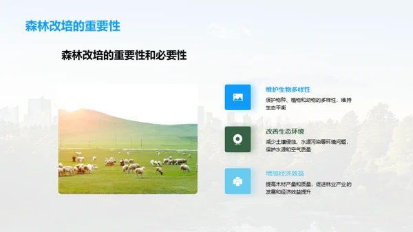 森林改培：挽救绿肺