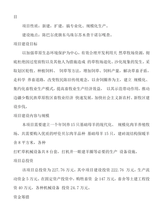 现代化规模化肉羊养殖牧场建设可行性研究报告.docx