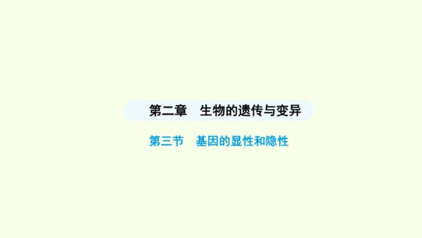 7.2.3基因的显性和隐性课件-人教版生物八年级下册(共31张PPT)