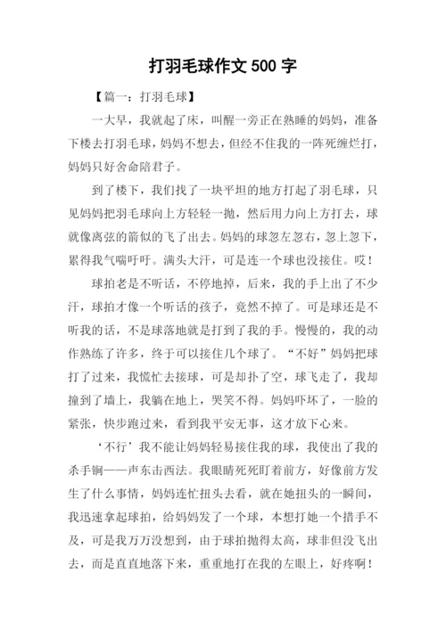 打羽毛球作文500字.docx