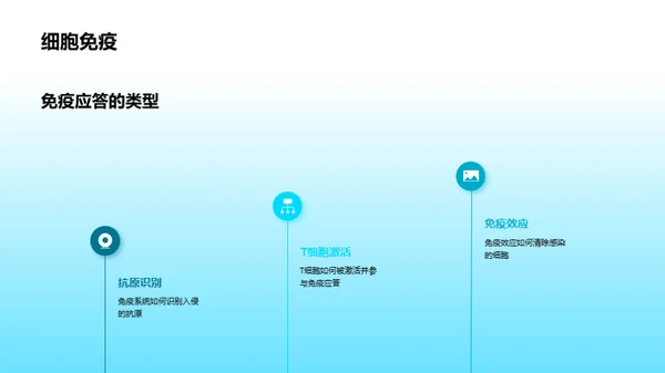 3D风教育培训教学课件PPT模板