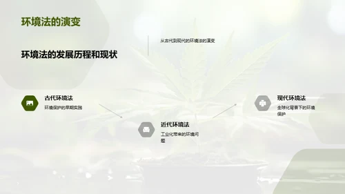 探索环境法之路