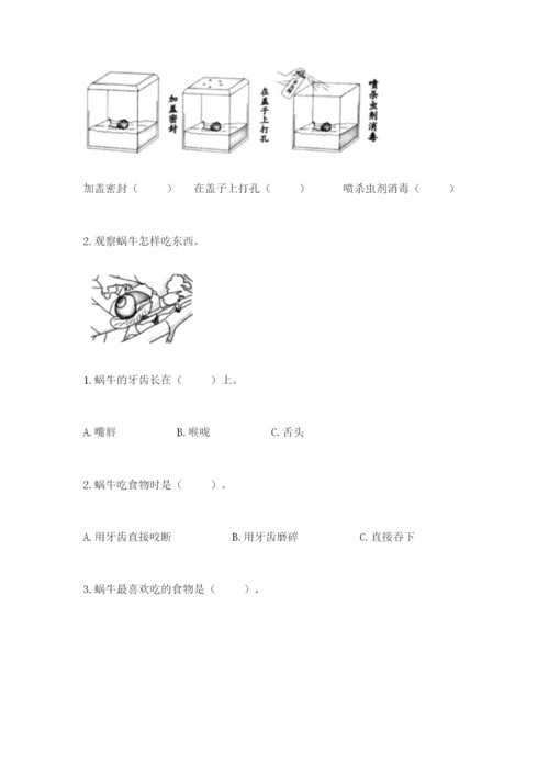 教科版一年级下册科学期末测试卷【b卷】.docx