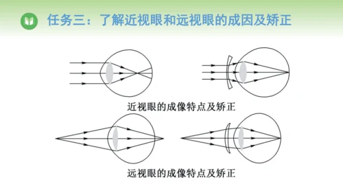 2024-2025学年人教版物理八年级上册5.4 眼睛和眼镜课件（24页ppt）