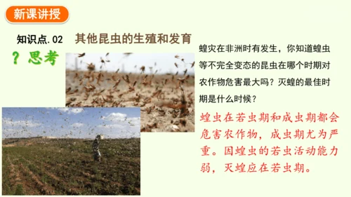 7.1.2昆虫的生殖和发育-八年级生物人教版下学期同步精品课件(共29张PPT)