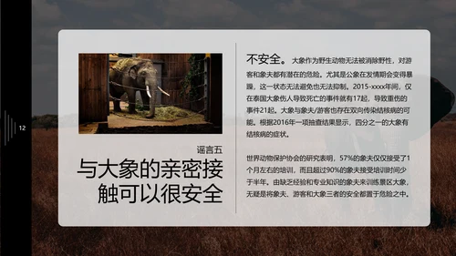 保护野生动物大象PPT模板