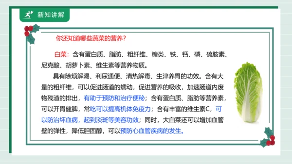 【核心素养目标】主题四 活动一《会爬的蔬菜》课件-【东北师大版】《劳动实践》二上