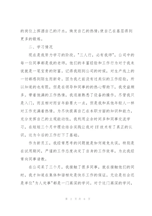 it员工试用期工作总结怎么写.docx