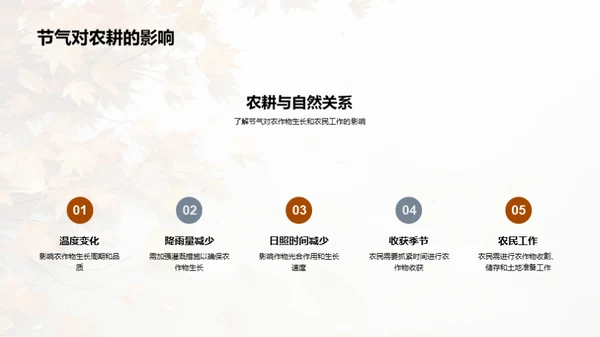 寒露节气的科学解读