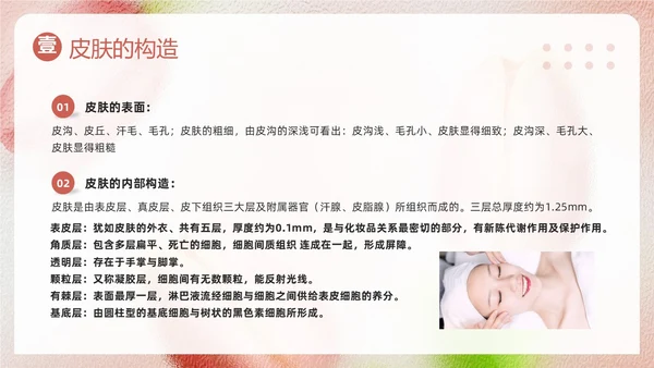 粉色简约美容知识培训大全PPT模板宣传PPT动态PPT