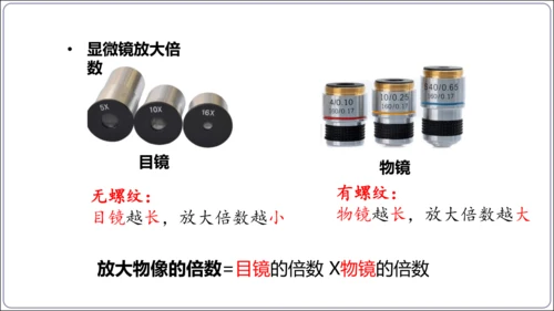 1.1&1.2 认识生物和细胞（复习课件）【2024人教新版七上生物高效完全备课】(共44张PPT)