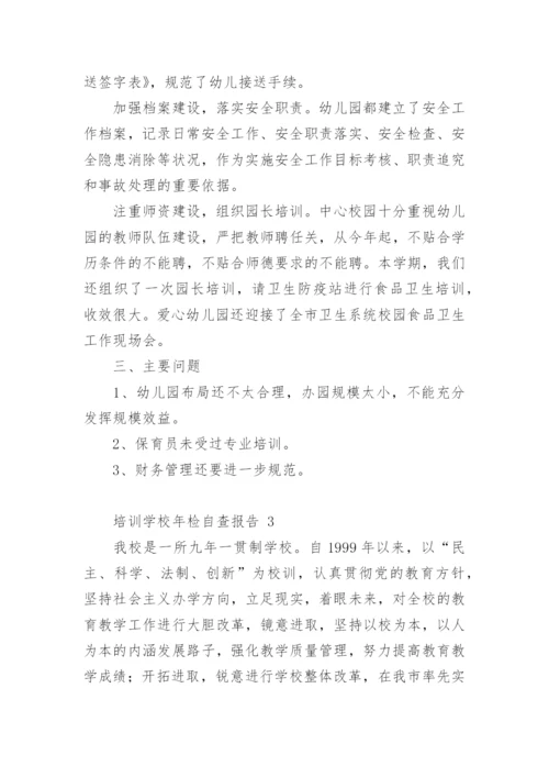 培训学校年检自查报告.docx