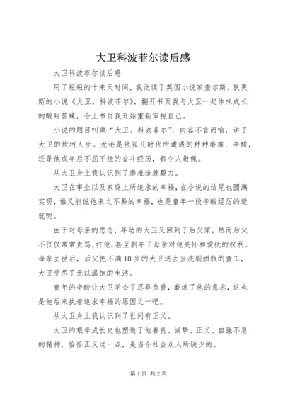 大卫科波菲尔读后感 (3).docx