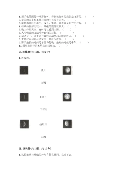 教科版小学科学三年级下册 期末测试卷（完整版）.docx