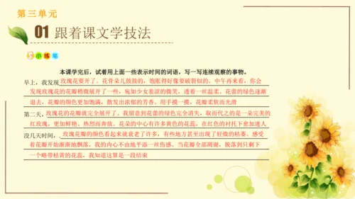 统编版语文四年级上册2024-2025学年度第三单元习作： 写观察日记（课件）