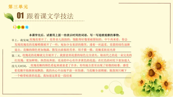 统编版语文四年级上册2024-2025学年度第三单元习作： 写观察日记（课件）