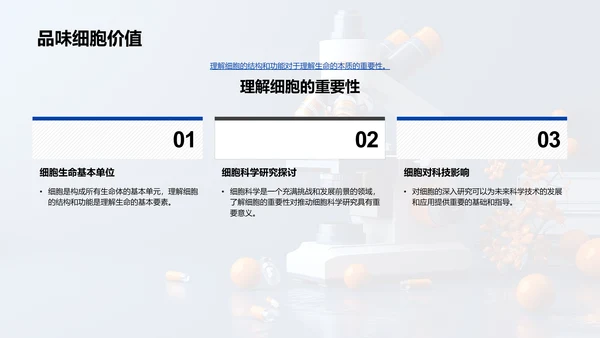 高中生物细胞学PPT模板