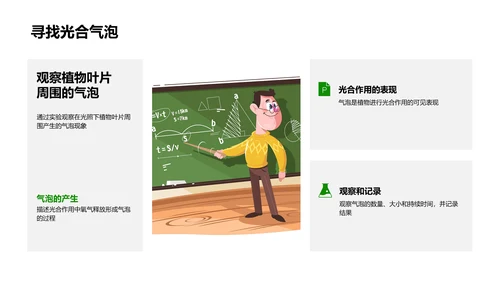 光合作用科学讲解