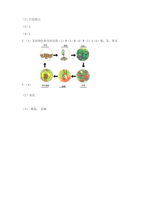 科学四年级下册第一单元《植物的生长变化》测试卷必考.docx