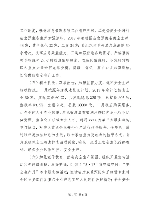 应急管理局工作总结及XX年工作计划.docx