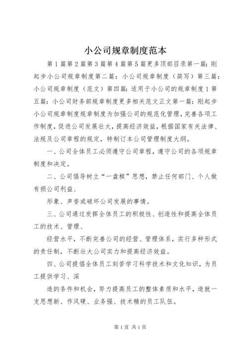 小公司规章制度范本.docx