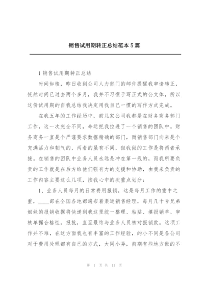 销售试用期转正总结范本5篇.docx