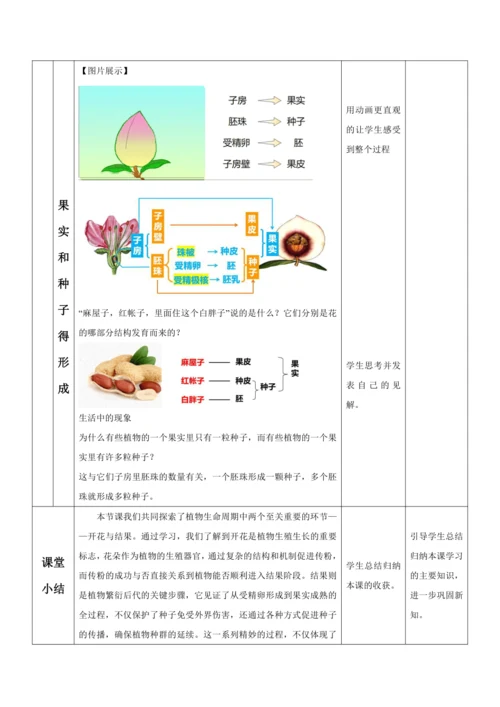 【大单元教学】人教版（2024）生物七下 3.1.3开花和结果 教学设计