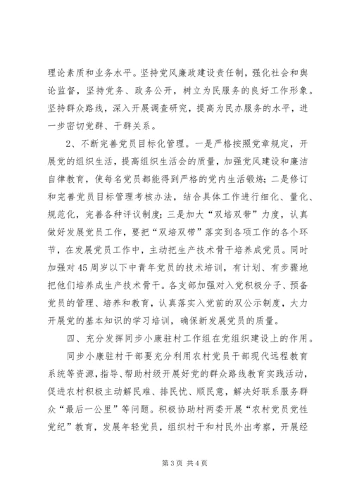 村基层党组织建设工作计划.docx